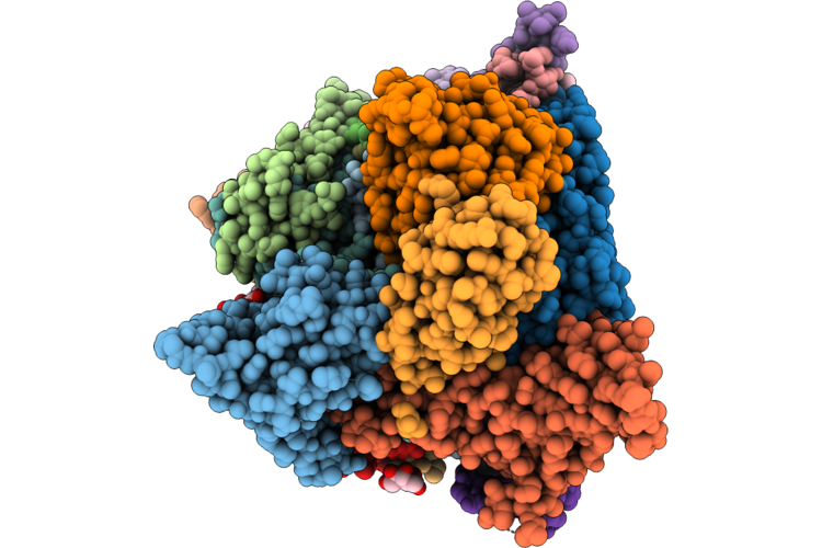 9WFZ image
