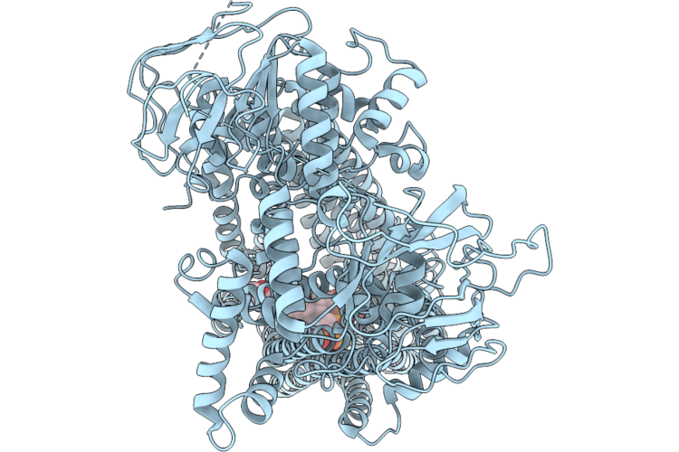 9WG2 image