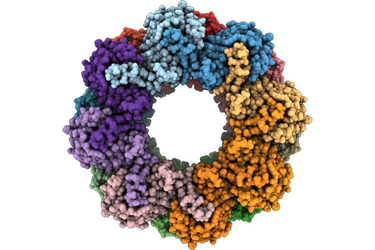 9WGB image