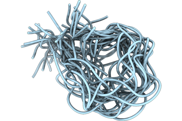 9WGI image