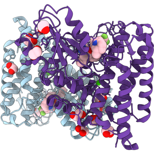 9WGU image