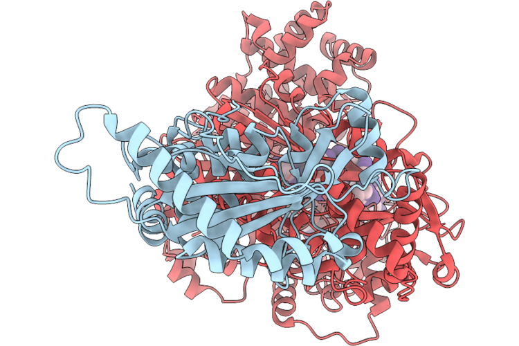 9WH1 image