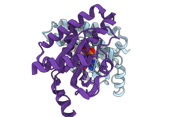 9WHA image