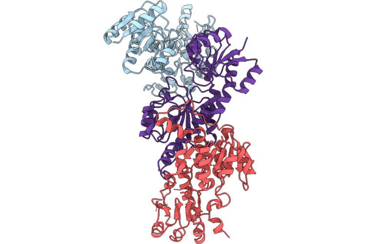9WHB image