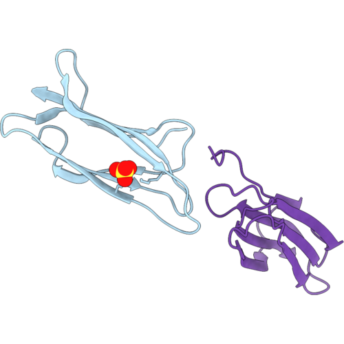 9WIA image