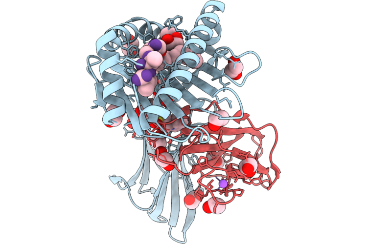 9WJ2 image