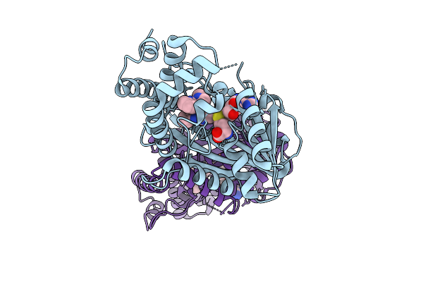 9WJ7 image
