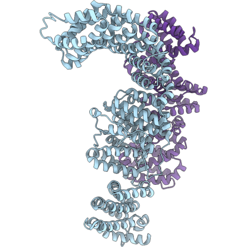 9WJS image