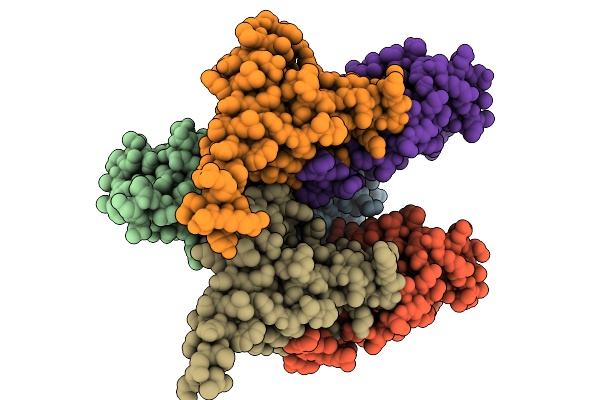 9WLP image