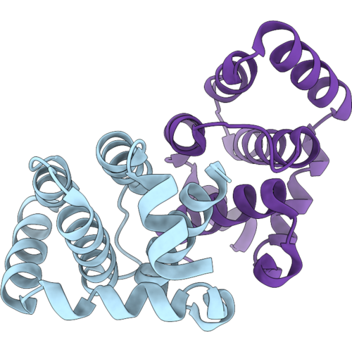 9WLU image