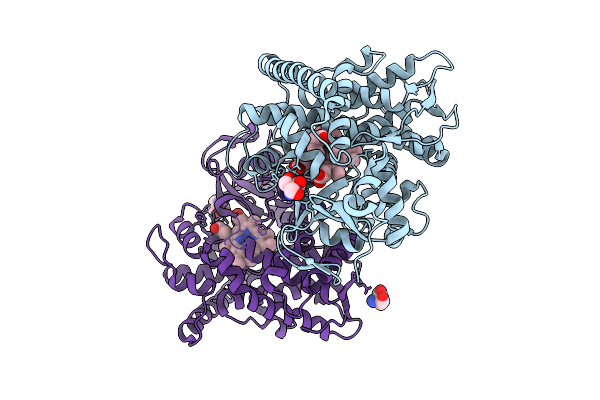 9WMA image