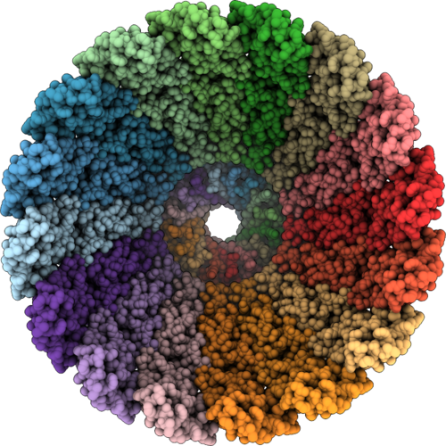 9WMJ image