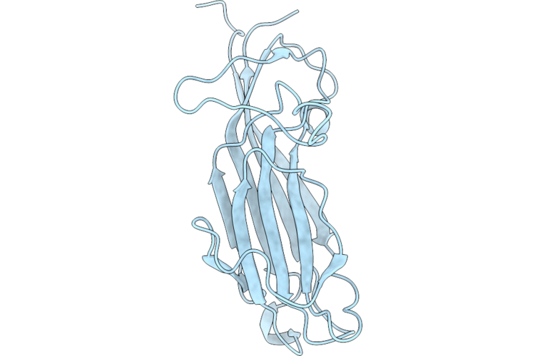 9WMR image