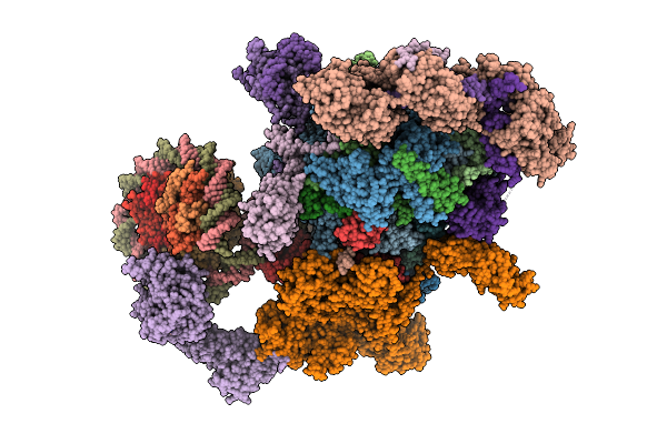 9WMS image
