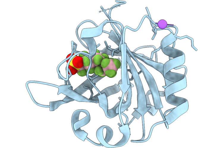 9WNX image