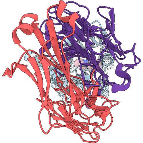 9WQB image