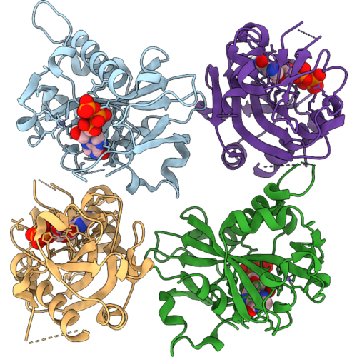 9WRZ image