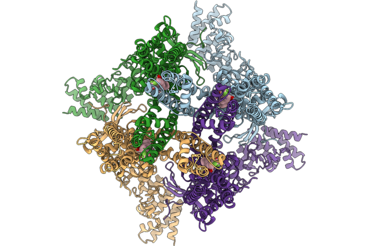 9WV6 image