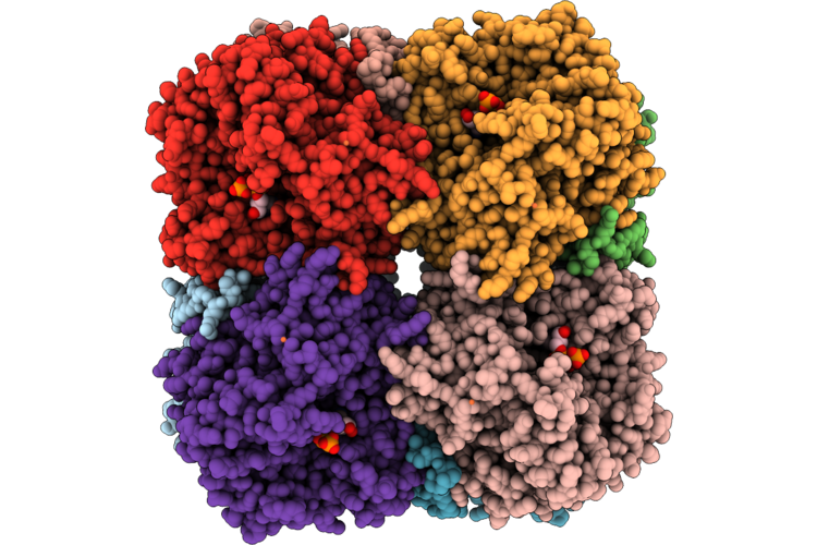 9WV9 image