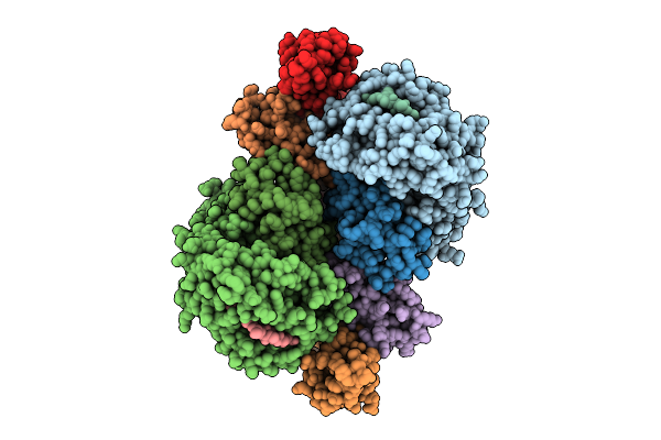 9WVF image