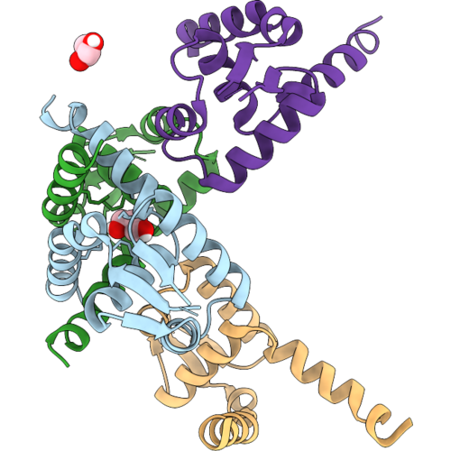 9WVG image