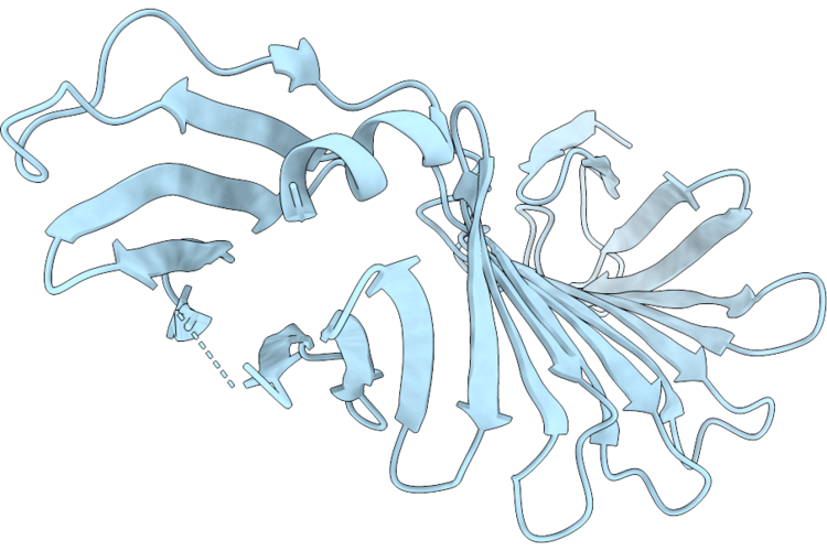 9WVV image