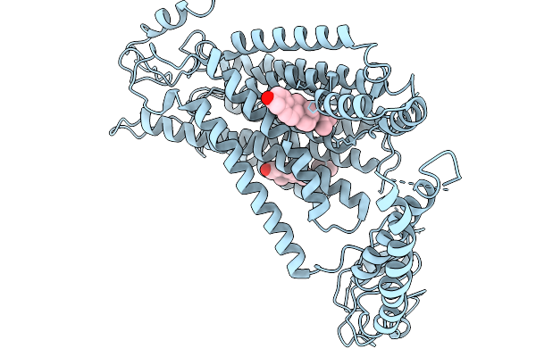 9WXV image