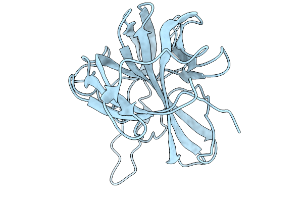9WYG image