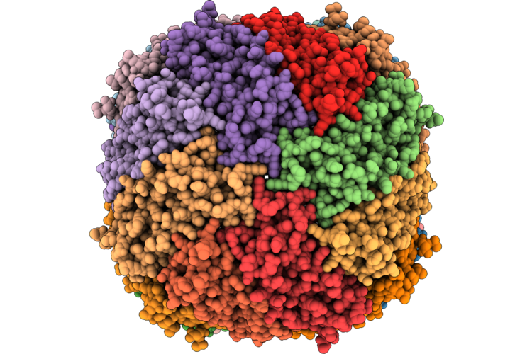 9X0K image