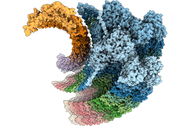 9X3P image