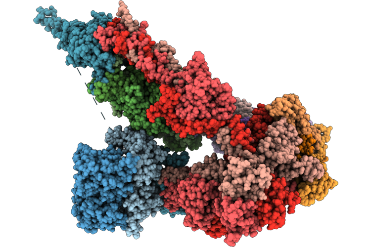 9X3R image