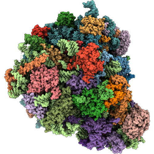 9X4D image