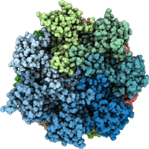 9X4E image