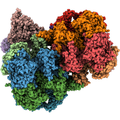9X4L image