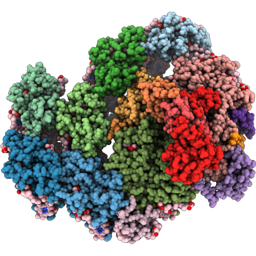 9X4P image