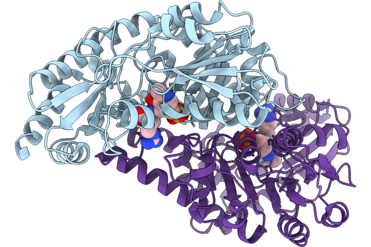 9X4V image