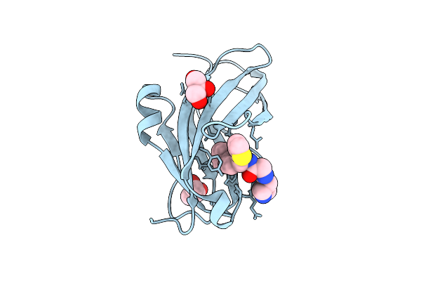 9X54 image