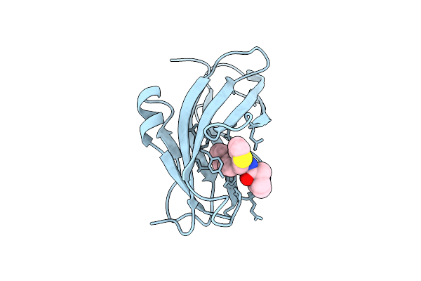 9X55 image