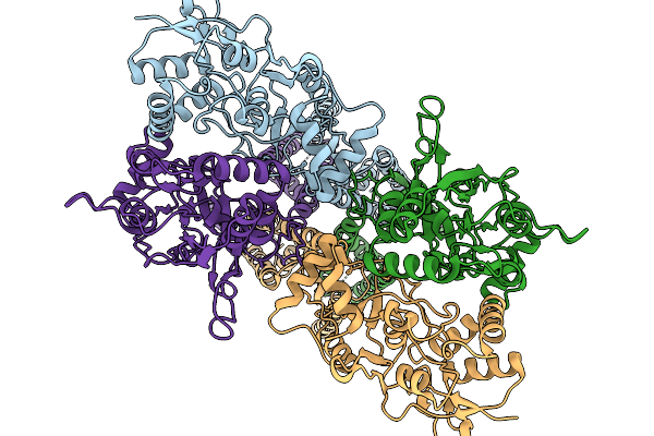 9X57 image