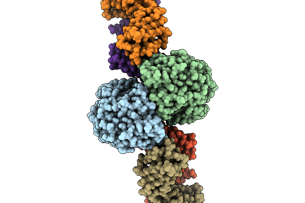 9X58 image