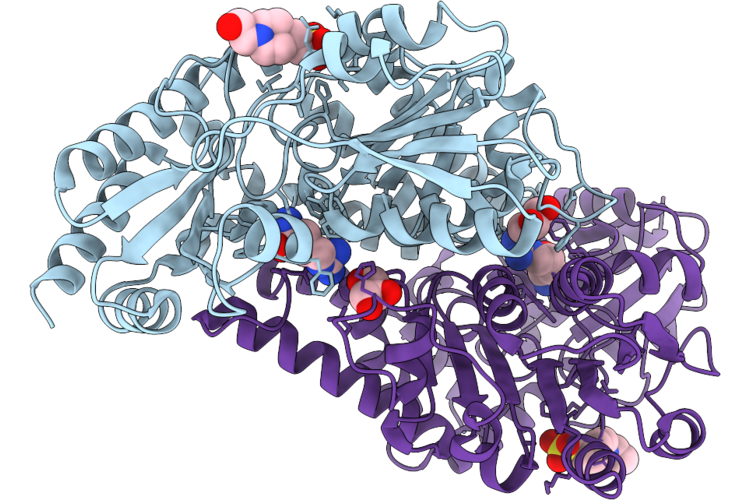 9X5B image