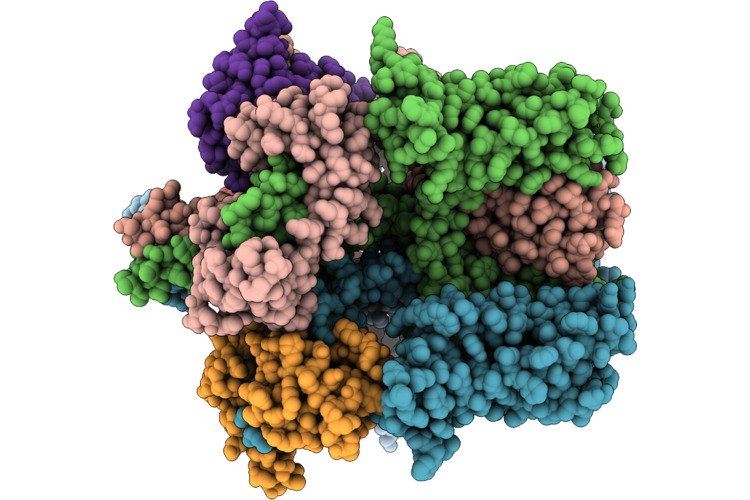 9X5J image