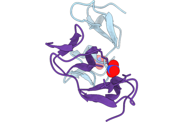 9X64 image