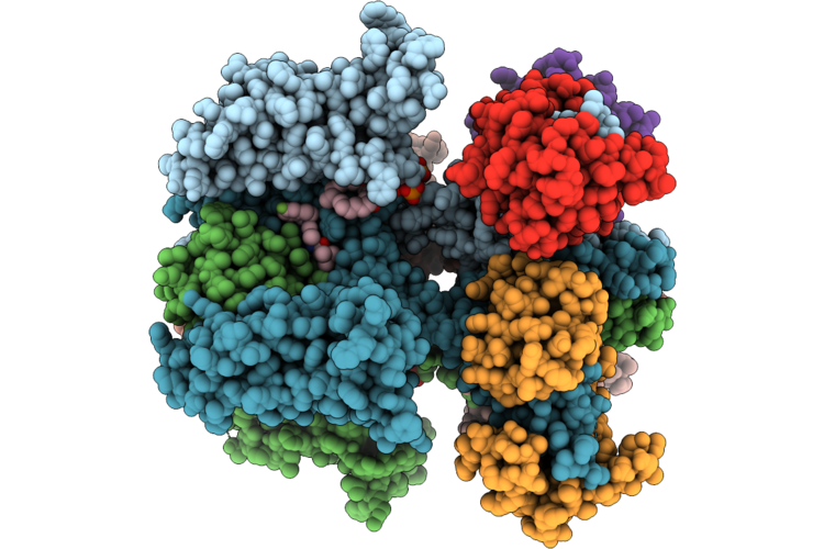 9X65 image