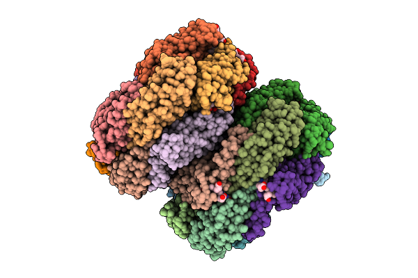 9X6D image