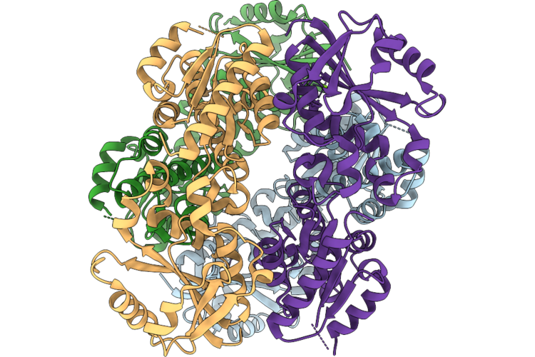 9X6H image