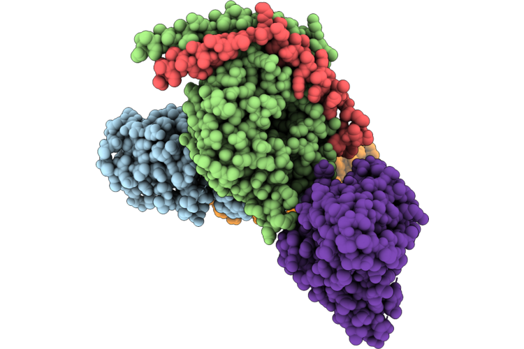 9X74 image