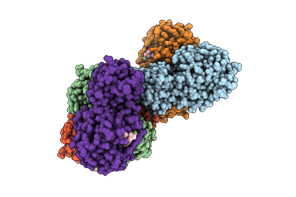 9X7D image