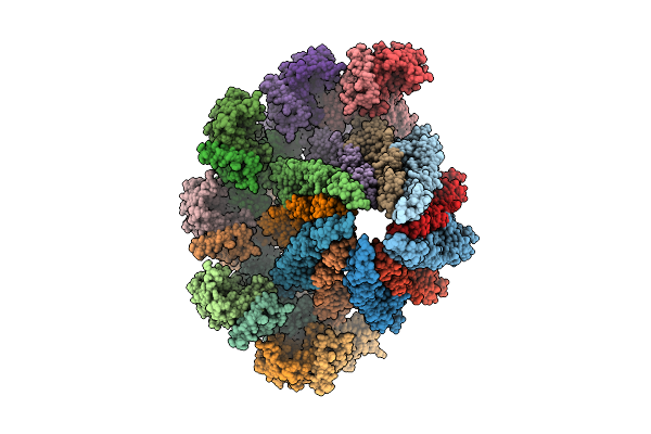 9X80 image