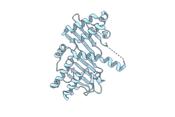 9X86 image